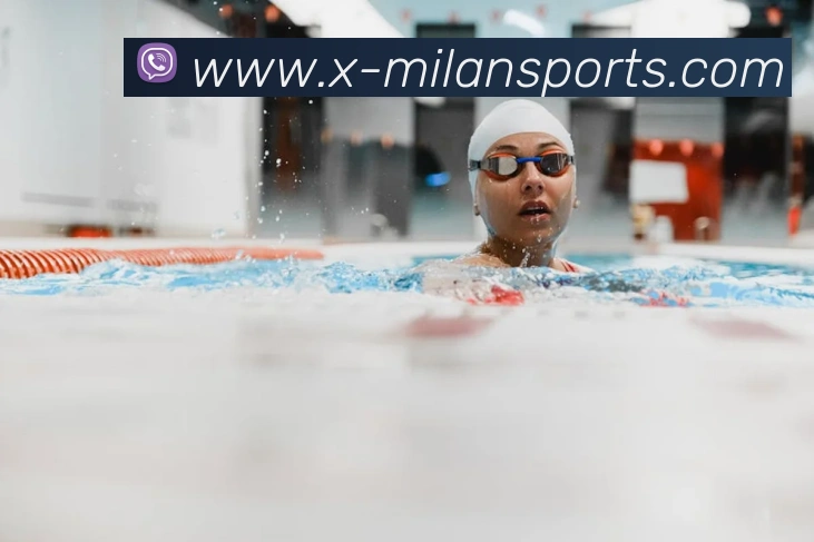 米兰体育平台生态图